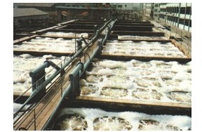 ◥◣粵綠◢◤東莞環(huán)評(píng)公司★★專(zhuān)業(yè)提供：東莞環(huán)評(píng)實(shí)措步驟，如何用環(huán)評(píng)參與宏觀調(diào)控！